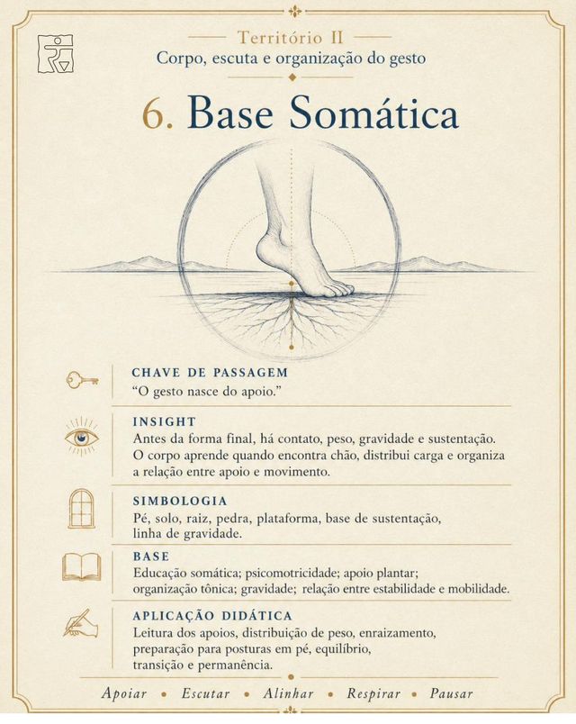 Card da imagem Base Somática